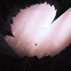 Illustration for article titled These dreamscapes will give me nightmares tonight